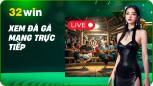 Xem Đá Gà Mạng Trực Tiếp 2025 Sắc Nét & An Toàn Tại 32Win